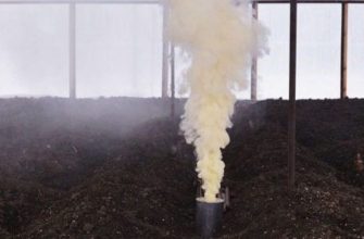 Дымовая шашка против тараканов