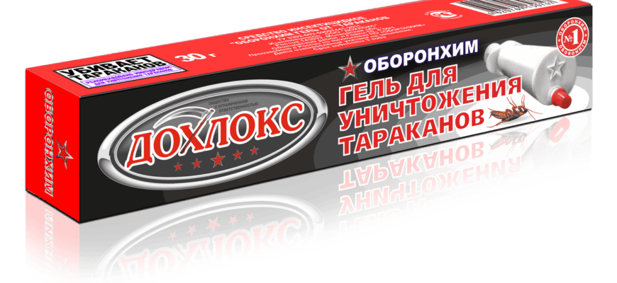 Обзор геля против тараканов Дохлокс