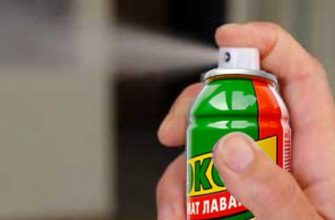 Применение дихлофоса в борьбе с тараканами