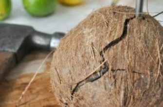 5 способов правильно и быстро очистить кокос